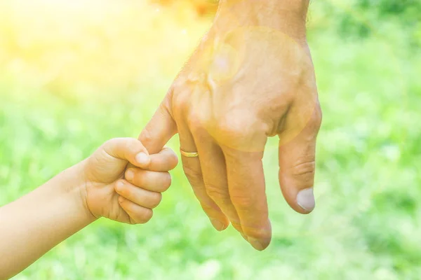 Hermosas manos de un niño y un padre en un parque en la naturaleza —  Fotos de Stock
