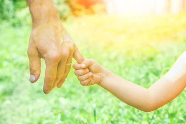 Gyönyörű keze a gyermek és a szülő a parkban a természetben — Stock Fotó