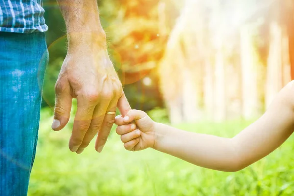 Gyönyörű keze a gyermek és a szülő a parkban a természetben — Stock Fotó