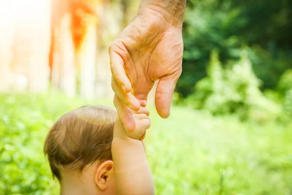 Hermosas manos de un niño y un padre en un parque en la naturaleza —  Fotos de Stock