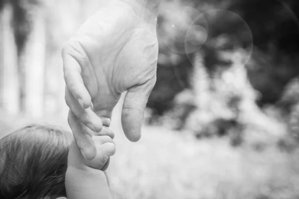 Vackra händer med ett barn och en förälder i en Park i naturen — Stockfoto