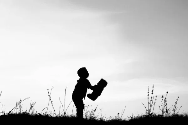 Bambini felici che giocano sulla silhouette estiva della natura — Foto Stock