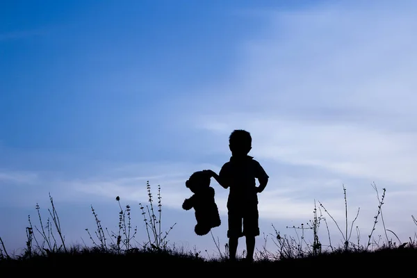 Genitore felice con bambini che giocano sulla silhouette estiva della natura — Foto Stock