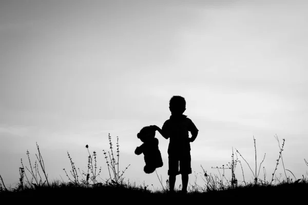 Gelukkig ouder met kinderen spelen op de natuur zomer silhouet — Stockfoto