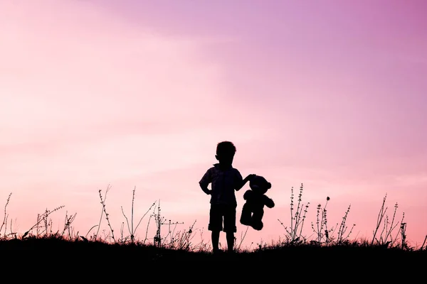 Bambini felici che giocano sulla silhouette estiva della natura — Foto Stock