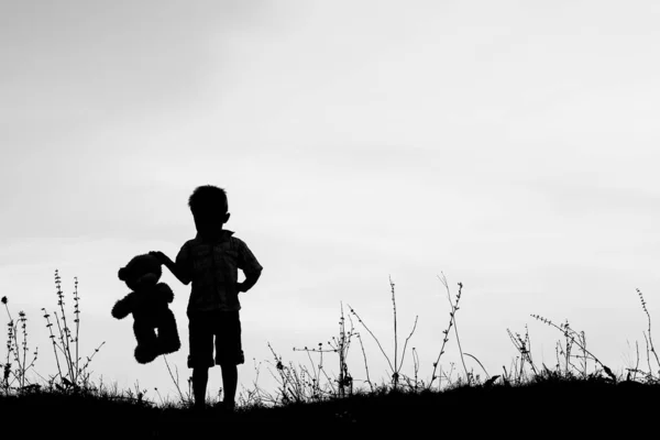 Bambini felici che giocano sulla silhouette estiva della natura — Foto Stock