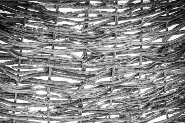 Deniz arka planında güzel bir şemsiye kapağı