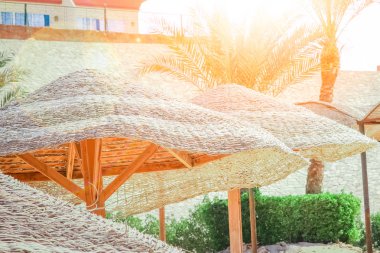 Deniz arka planında güzel bir şemsiye kapağı