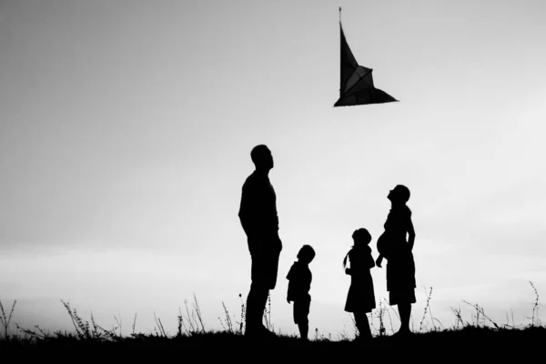 Gelukkig gezin spelen op de natuur zomer silhouet — Stockfoto