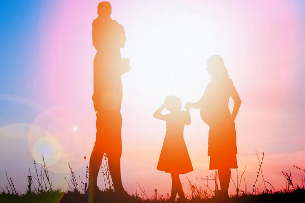 Família feliz jogando na natureza silhueta de verão — Fotografia de Stock