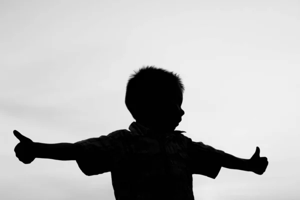 Happy children playing on nature summer silhouette — Stock Photo, Image