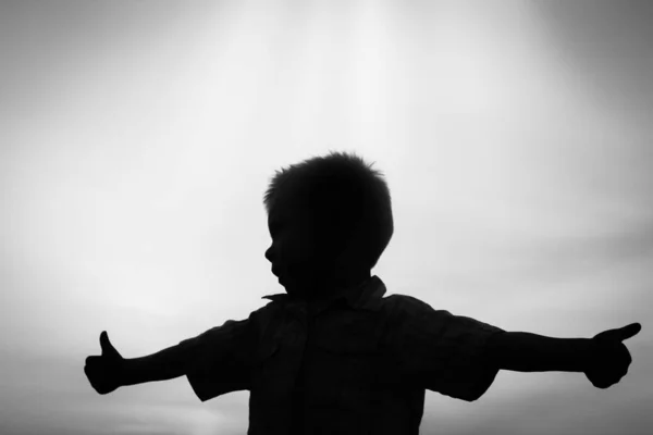 Gelukkige kinderen spelen op natuur zomer silhouet — Stockfoto