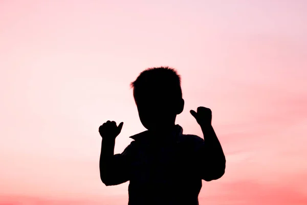 Glückliche Kinder spielen auf der Natur Sommer Silhouette — Stockfoto