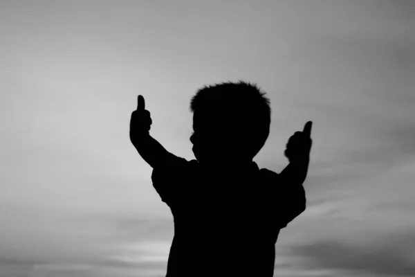 Gelukkige kinderen spelen op natuur zomer silhouet — Stockfoto