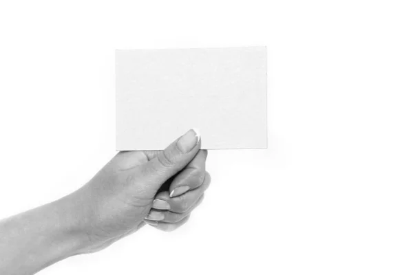 Beyaz bir arka plan üzerinde reklam kartı elinde — Stok fotoğraf
