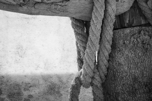 Vecchia foto Elegantemente bella recinzione su sfondo paesaggio marino — Foto Stock