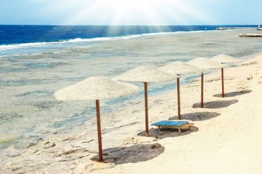 Doğanın arka planında güzel deniz kıyısı tatili