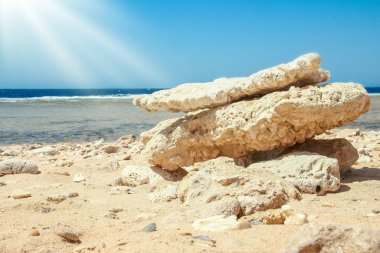 Doğanın arka planında güzel deniz kıyısı tatili