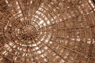 Şık güzel deniz şemsiyesi arka plan