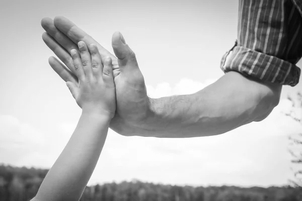 Mani di un genitore e di un bambino nella natura in un parco in riva al mare — Foto Stock