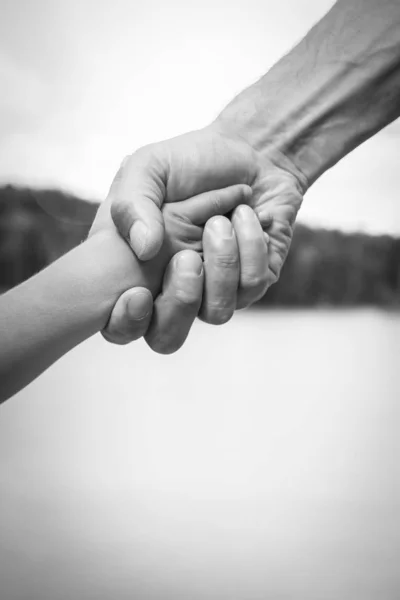 Mãos de um pai e criança na natureza em um parque pelo mar — Fotografia de Stock