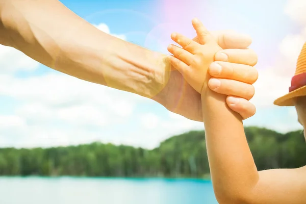 Hands of a parent and child in nature in a park by the sea — Stock Photo, Image