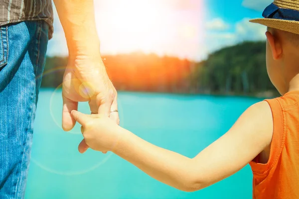 Hands of a parent and child in nature in a park by the sea — Stock Photo, Image