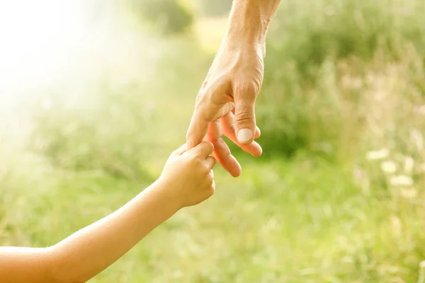 Hands of parent and child in nature — Stock Photo, Image