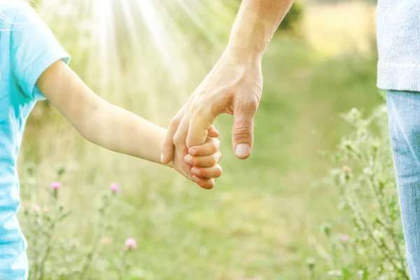 Χέρια γονέα και παιδιού στη φύση — Φωτογραφία Αρχείου