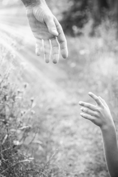 Mãos de pai e filho na natureza — Fotografia de Stock