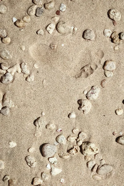 Pasir indah di dekat laut di latar belakang alam — Stok Foto