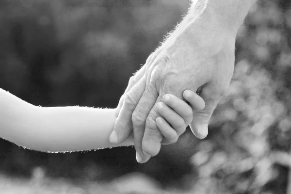 Il genitore che tiene la mano del bambino con uno sfondo felice — Foto Stock