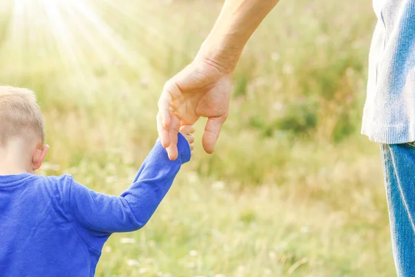 Hands of parent and child in nature — Stock Photo, Image