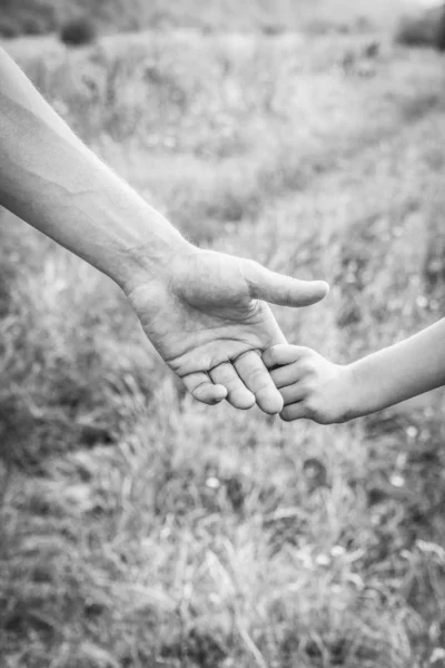 Mãos de pai e filho na natureza — Fotografia de Stock