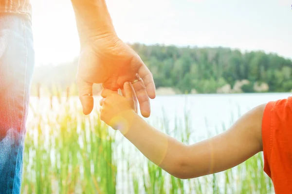 Händerna på en förälder och barn i naturen i en park vid havet — Stockfoto