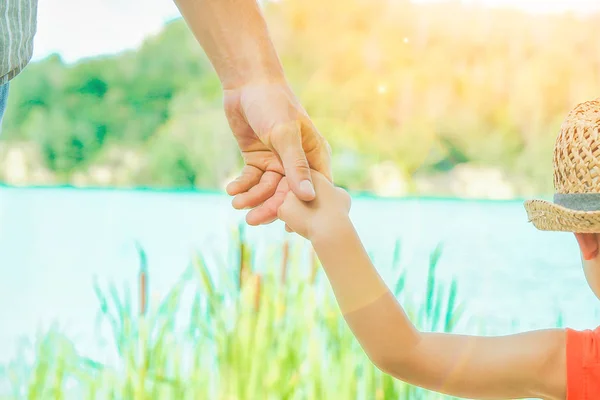 Hands of a parent and child in nature in a park by the sea — Stock Photo, Image