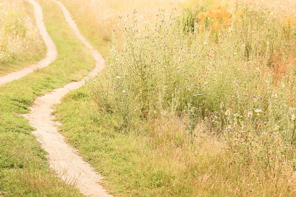 The road to the nature of the field in the countryside — Stock Photo, Image