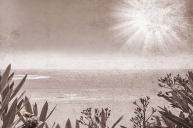 Deniz kıyısında backgrou üzerinde güzel şık tropikal manzara