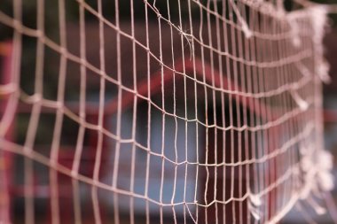 Parkta doğa üzerinde oynayan güzel voleybol ızgara