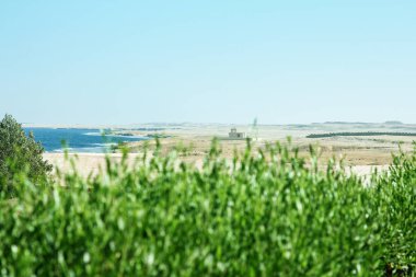 Deniz kıyısında backgrou üzerinde güzel şık tropikal manzara