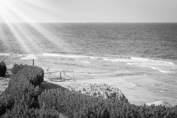 Beautifully stylish tropical landscape on the sea shore backgrou — Stock Photo, Image