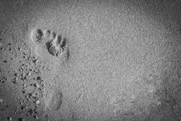 Beautiful footprints in the sand sea nature background — Stock Photo, Image