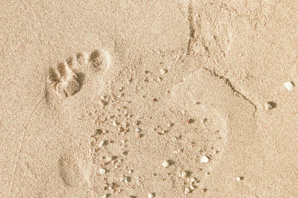 Beautiful footprints in the sand sea nature background — Stock Photo, Image