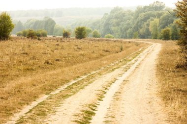 gün batımı arka planda yol yolu parkı