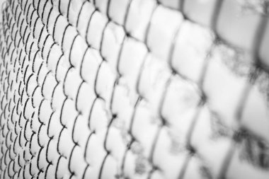 park arka planda doğada kışın örgü