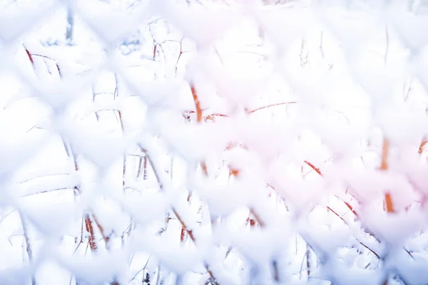 Maglia in inverno sulla natura in fondo al parco — Foto Stock