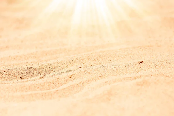 Stilfullt vacker snäckkorall på sand bakgrund på havet — Stockfoto