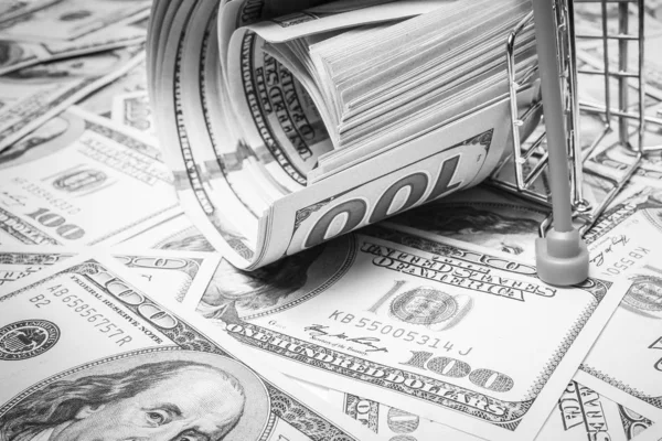 Obchodní dolar peníze v kovovém koši na bílém pozadí — Stock fotografie