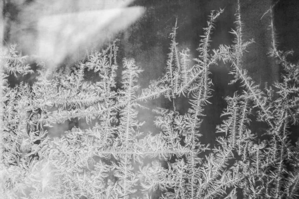 Frost på glas bakgrunden — Stockfoto