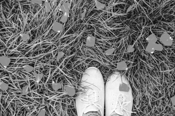 Beautiful legs on the grass in a park on the nature — Stock Photo, Image